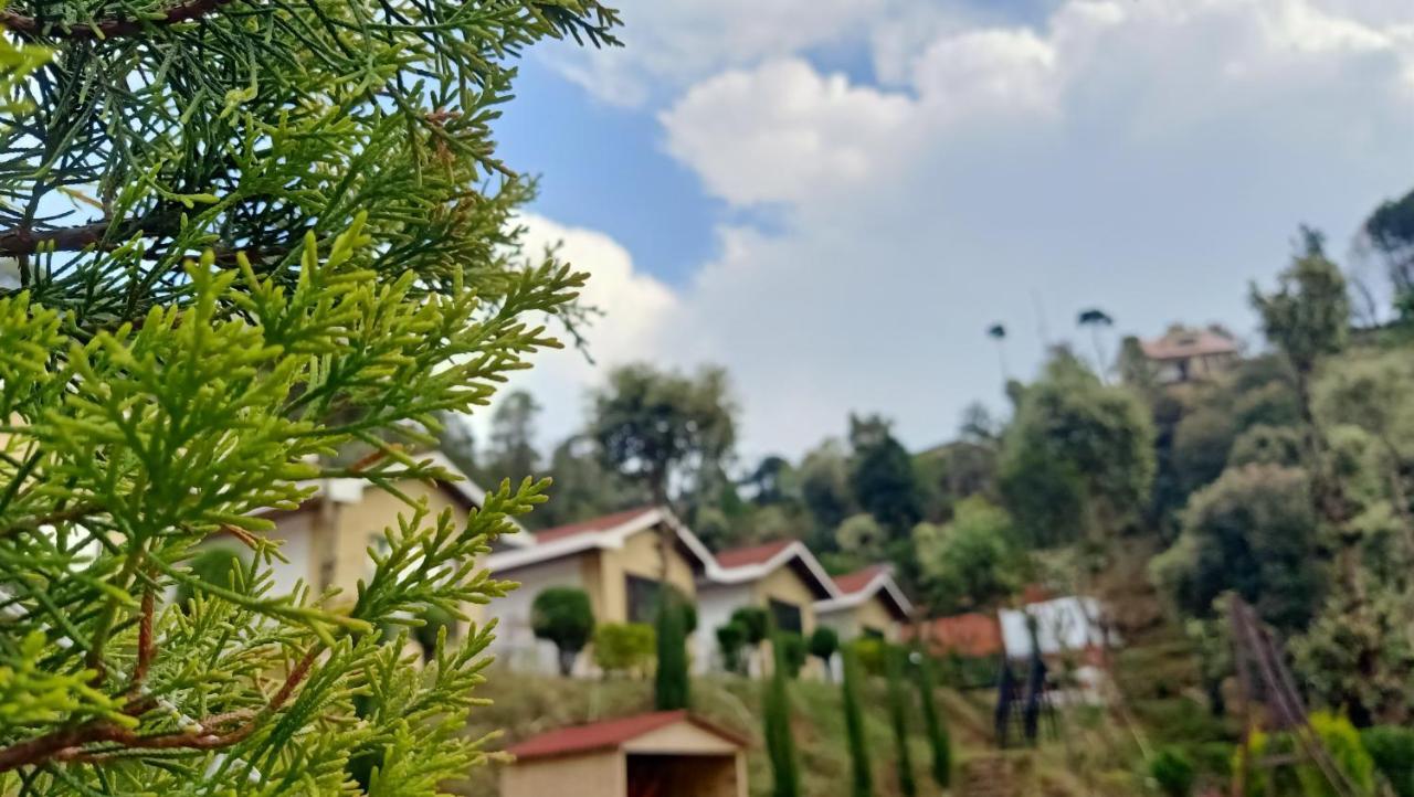Skywood Resort Shoghi Shogi Екстериор снимка
